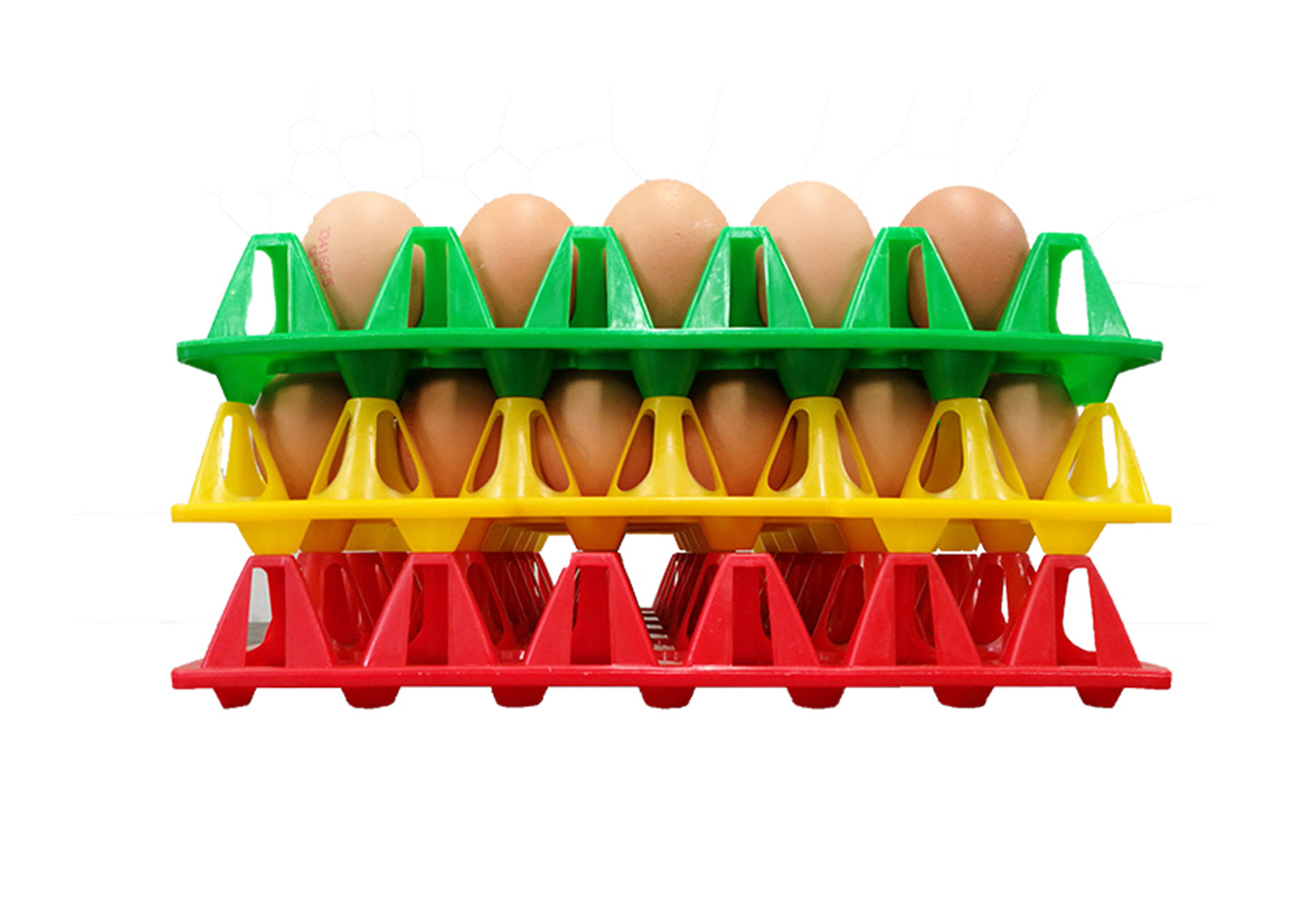 Zenyer Plastic Egg tray bundle (100 trays)