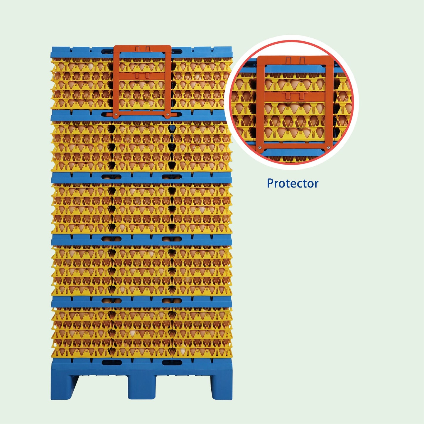 Zenyer Egg Transport System Package