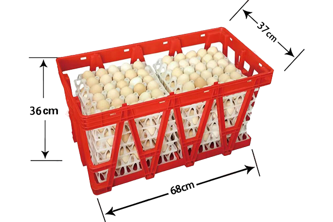 ZENYER Plastic Egg Crate Package (5 crates)