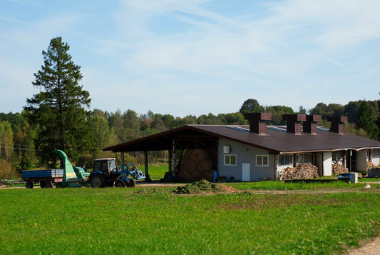 Lorem ipsum dolor sit amet consectetur adipisci elit sed do eiusmod tempor