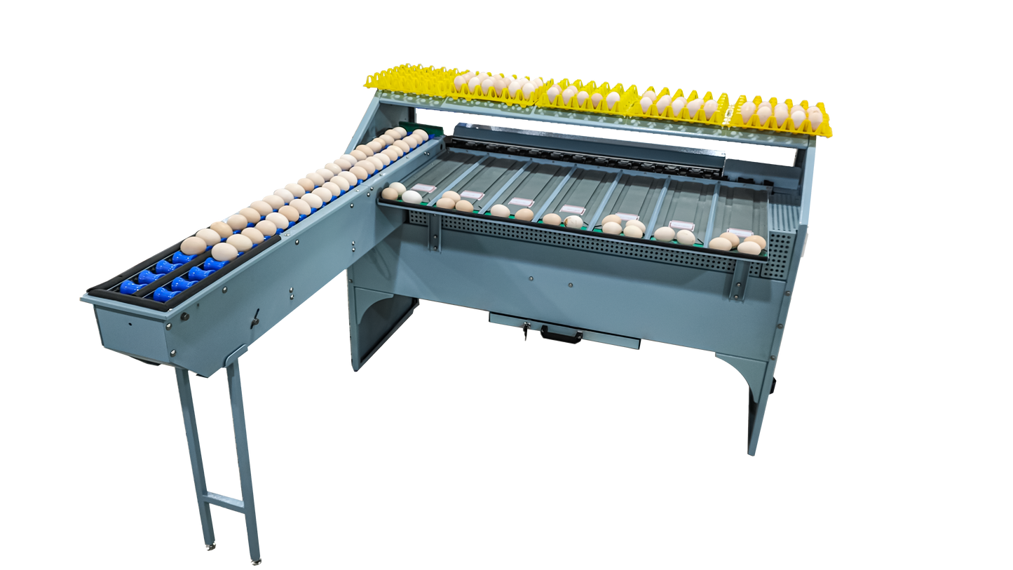Zenyer Egg grader 101A